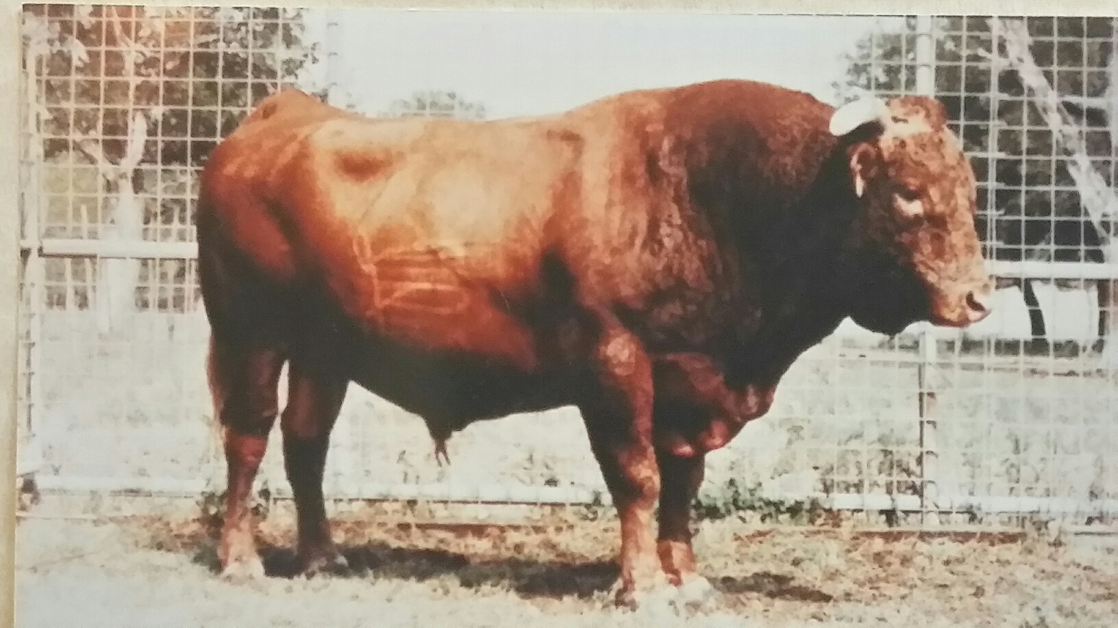 Rueshaw — additional photograph